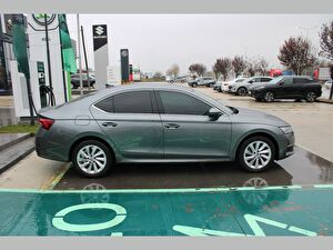 2024 MHEV Otomatik Skoda Octavia Gri Asal