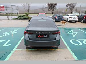 2024 MHEV Otomatik Skoda Octavia Gri Asal