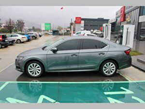 2024 MHEV Otomatik Skoda Octavia Gri Asal