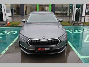 2024 MHEV Otomatik Skoda Octavia Gri Asal