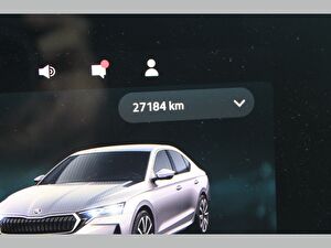 2024 MHEV Otomatik Skoda Octavia Gri Asal