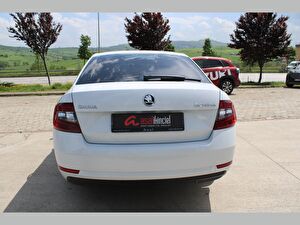 2019 Dizel Otomatik Skoda Octavia Beyaz Asal