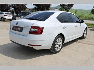 2019 Dizel Otomatik Skoda Octavia Beyaz Asal