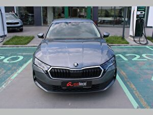 2025 Benzin Otomatik Skoda Octavia Gri Asal