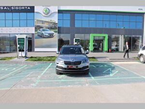 2021 Benzin Otomatik Skoda Karoq Gri Asal