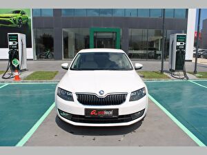 2017 Benzin Otomatik Skoda Octavia Beyaz Asal