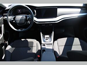 2025 Benzin Otomatik Skoda Octavia Gri Asal