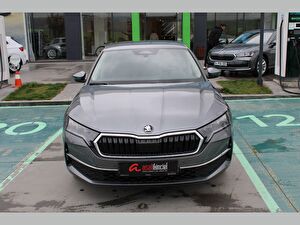 2025 Benzin Otomatik Skoda Octavia Gri Asal