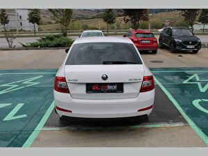 2016 Benzin Otomatik Skoda Octavia Beyaz Asal