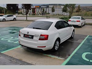 2016 Benzin Otomatik Skoda Octavia Beyaz Asal