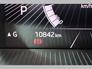 2025 Benzin Otomatik Skoda Kamiq Gri Asal