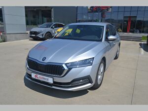 2023 MHEV Otomatik Skoda Octavia Gri Asal