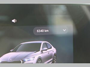 2025 Benzin Otomatik Skoda Octavia Gri Asal