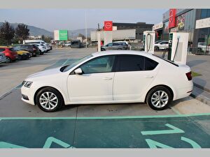 2017 Benzin Otomatik Skoda Octavia Beyaz Asal