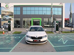 2017 Benzin Otomatik Skoda Octavia Beyaz Asal