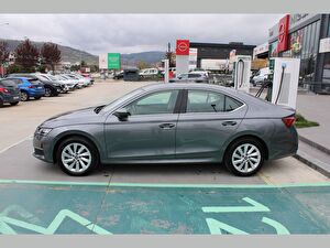 2025 Benzin Otomatik Skoda Octavia Gri Asal