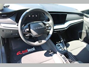 2025 Benzin Otomatik Skoda Octavia Gri Asal