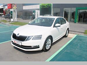 Skoda Octavia Hatchback/5 1.0 TSI GreenTec Style DSG