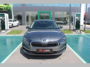 2026 Hybrid Otomatik Skoda Octavia Gri Asal