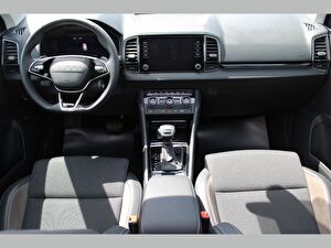 2025 Benzin Otomatik Skoda Karoq Gri Asal