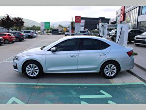 2024 Benzin Otomatik Skoda Octavia Gri Asal
