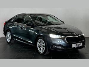 2021 Hybrid Otomatik Skoda Octavia Gri Çelik