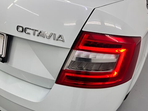 skoda, octavia, sedan 1.6 tdı greentec optimal dsg, otomatik, dizel 2.el otomobil | renew 12