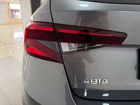 skoda, fabia, 1.0 tsı elite, manuel, benzin 2.el otomobil | renew 22
