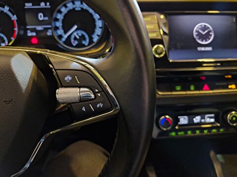 skoda, fabia, hatchback 1.0 greentec premium dsg, otomatik, benzin 2.el otomobil | renew 19