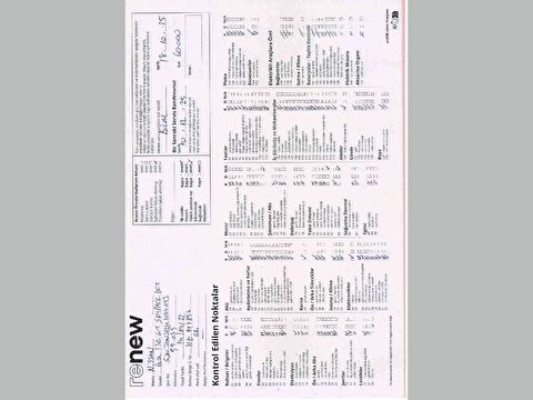 nissan, qashqai, suv 1.3 dıg-t 12v mhev 4x4 sky pack x-tronic, otomatik, mhev 2.el otomobil | renew 34