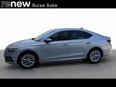 skoda, octavia, 1.5 tsı mhev premium dsg, otomatik, benzin 2.el otomobil | renew 3