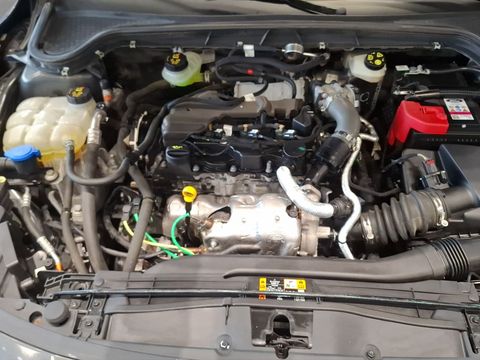 ford, focus, 1.5 ecoblue titanium stil, otomatik, dizel 2.el otomobil | renew 14