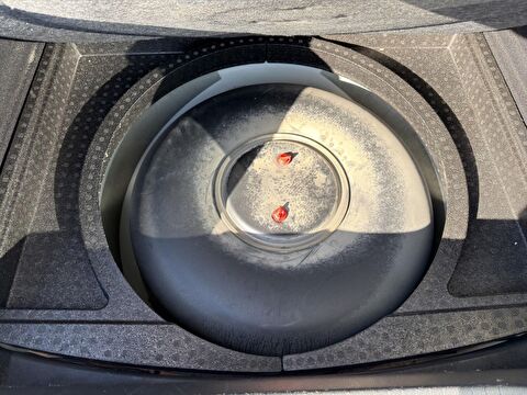 opel, astra, sedan 1.6 edition plus, manuel, benzin + lpg 2.el otomobil | renew 23