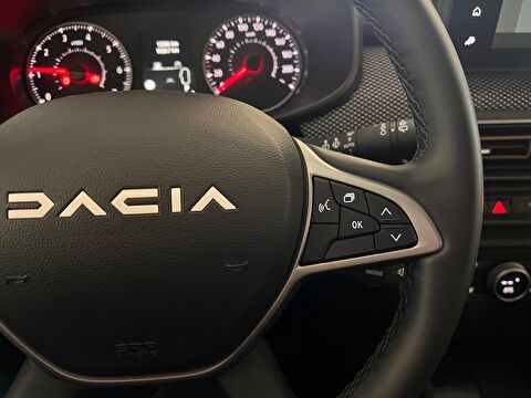 2024 Benzin Otomatik Dacia Sandero Bej Ermat Motorlu Araçlar ve Tarım Ürünleri Sanayi Ticaret A.Ş.