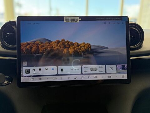 byd, dolphin, bev, otomatik, elektrik 2.el otomobil | renew 11