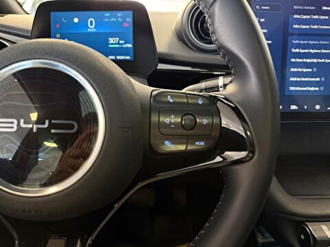byd, dolphin, bev, otomatik, elektrik 2.el otomobil | renew 22