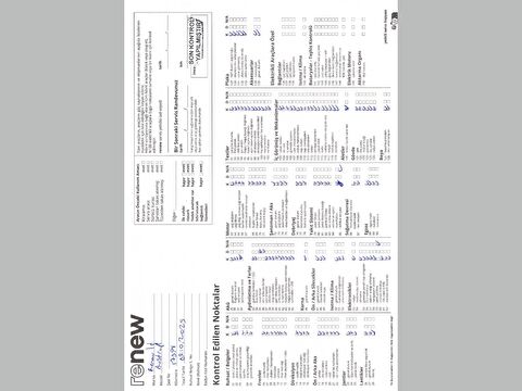 renault, austral, suv 1.3 mhev techno esprit alpine otomatik, otomatik, mhev 2.el otomobil | renew 13